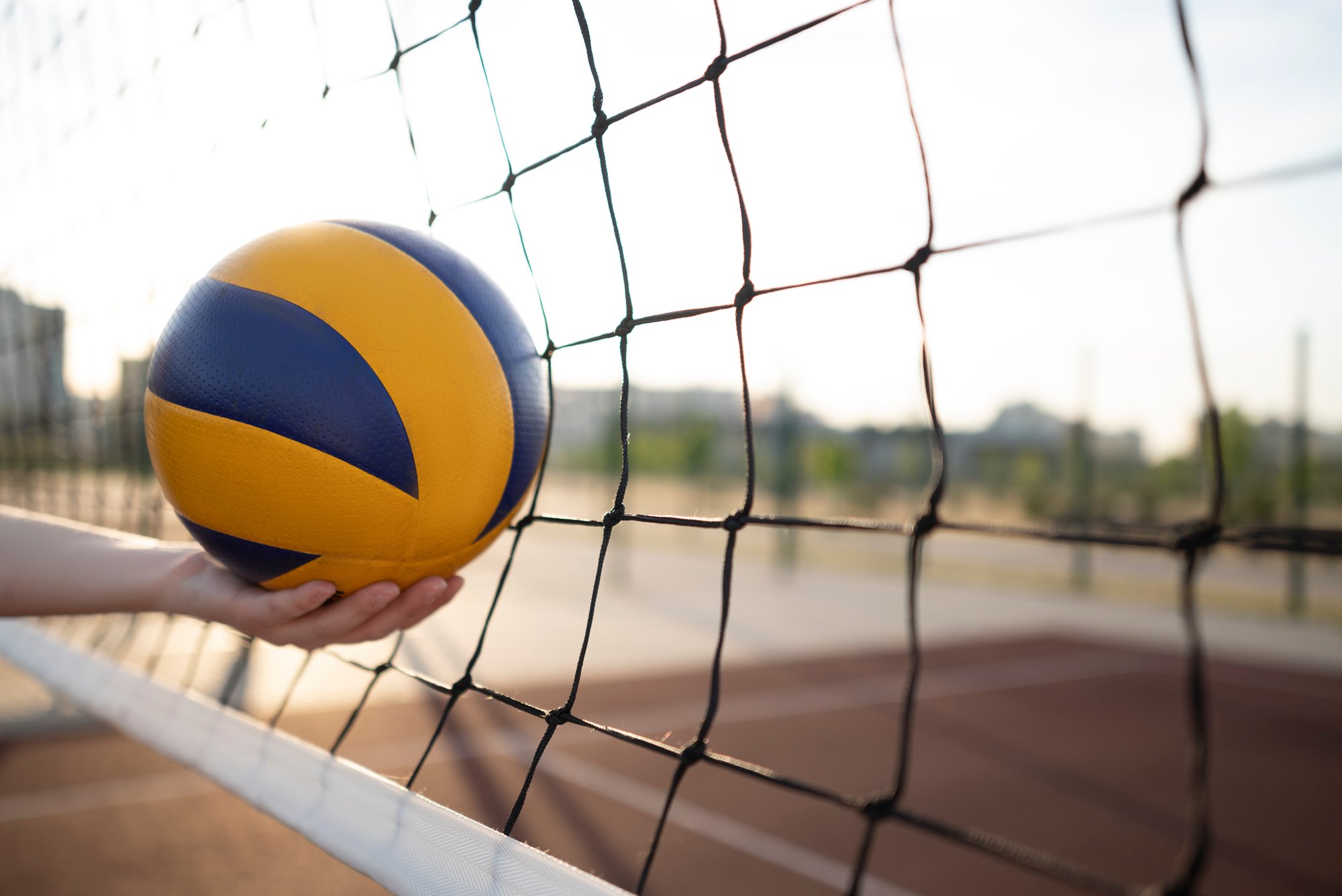 ball-hitting-net